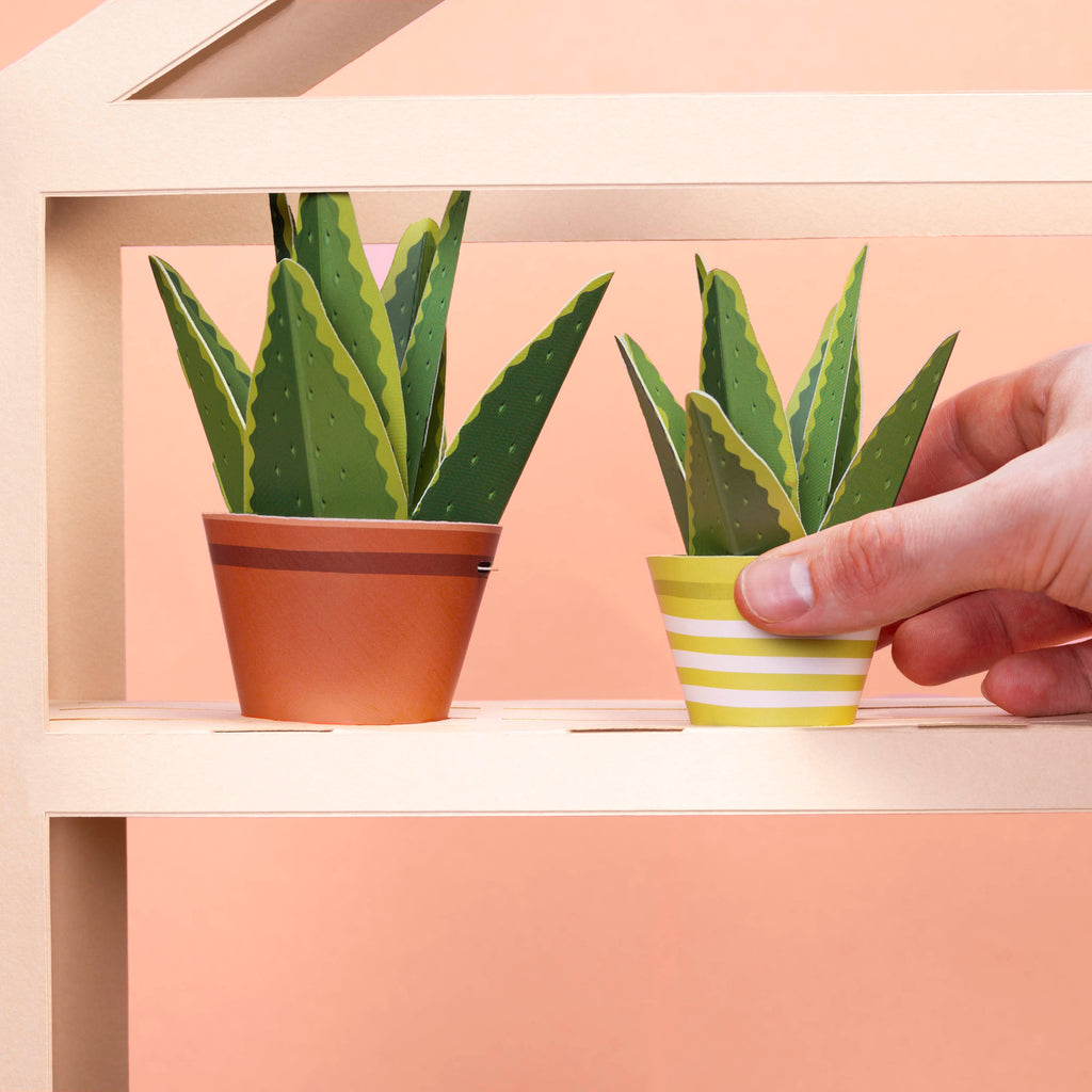 Make Your Own Healing Aloe Vera Paper Plant Kit