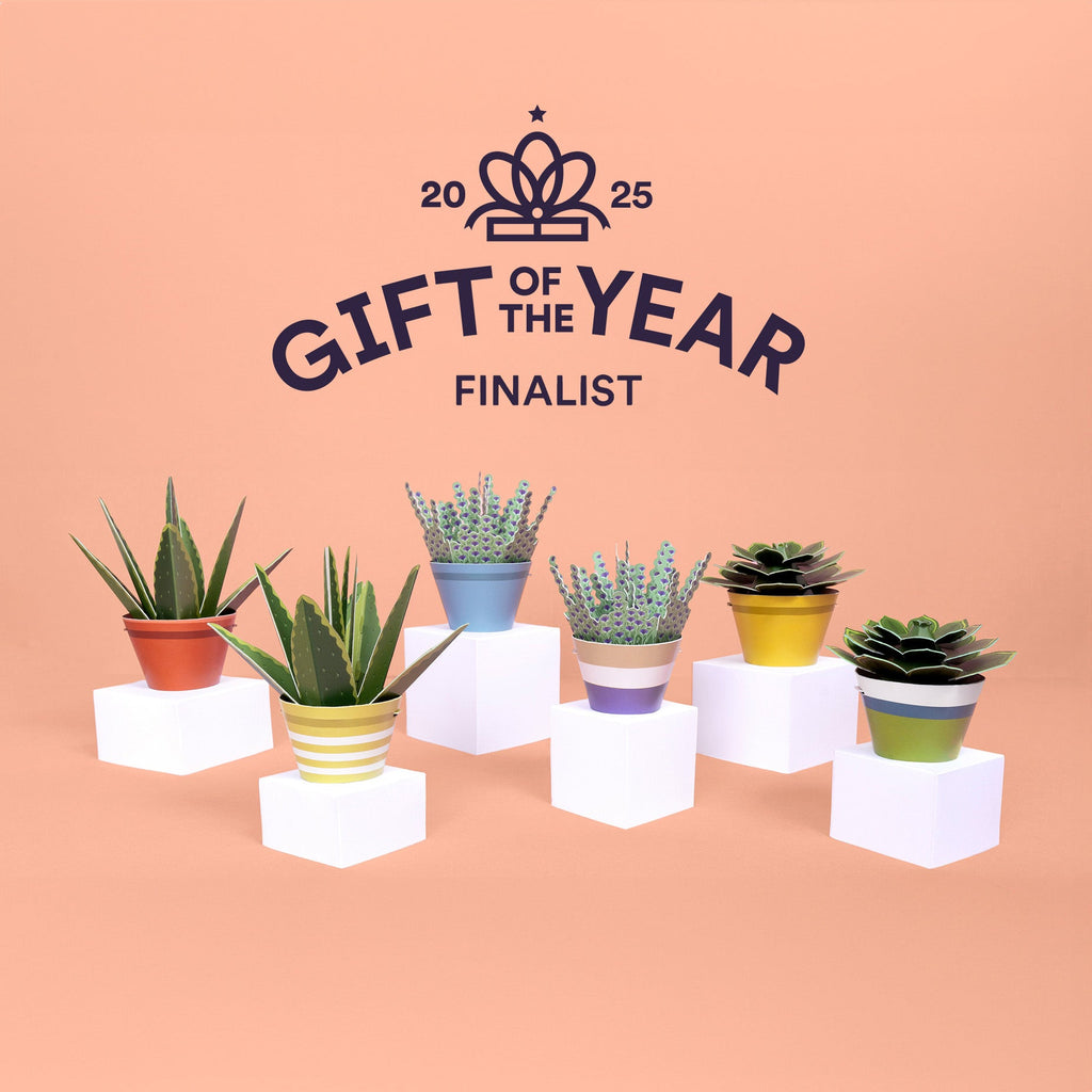 We're Gift Of The Year Finalists 🏆