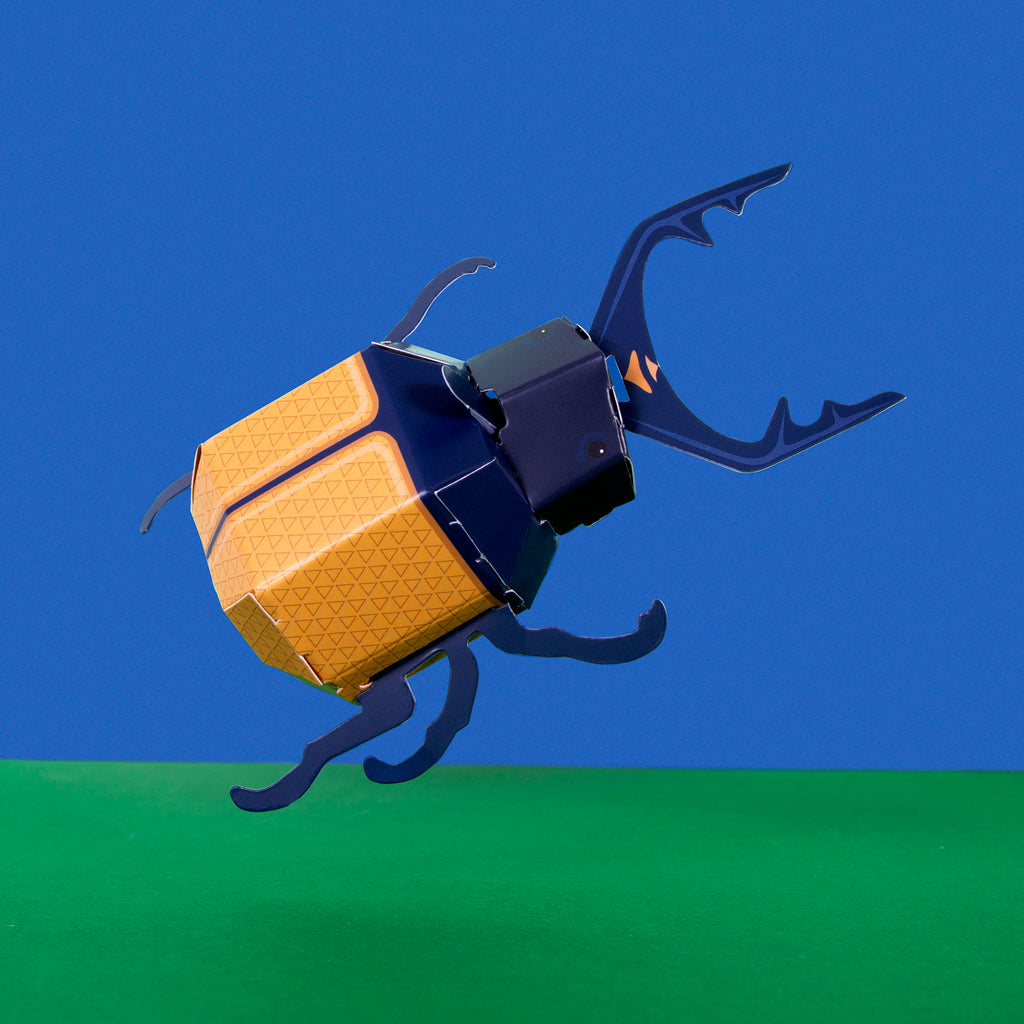 Got this from King Beetle, is it rare? : r/BeeSwarmSimulator